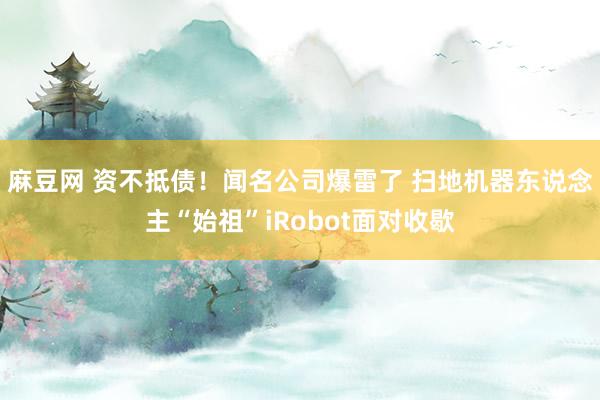 麻豆网 资不抵债!闻名公司爆雷了 扫地机器东说念主“始祖”iRobot面对收歇